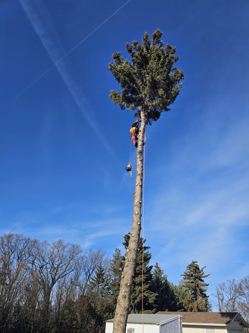 IMG-20