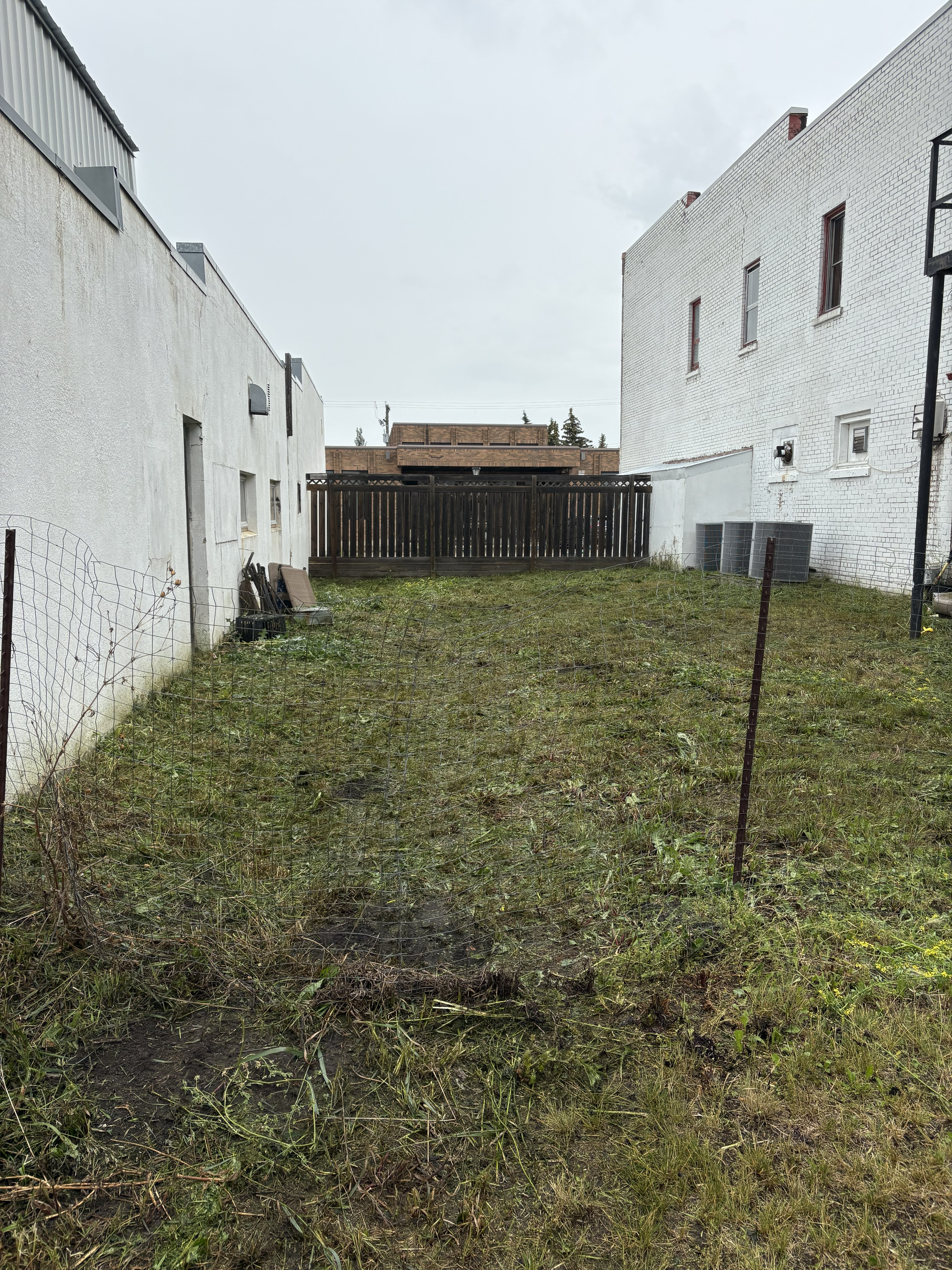 IMG-12