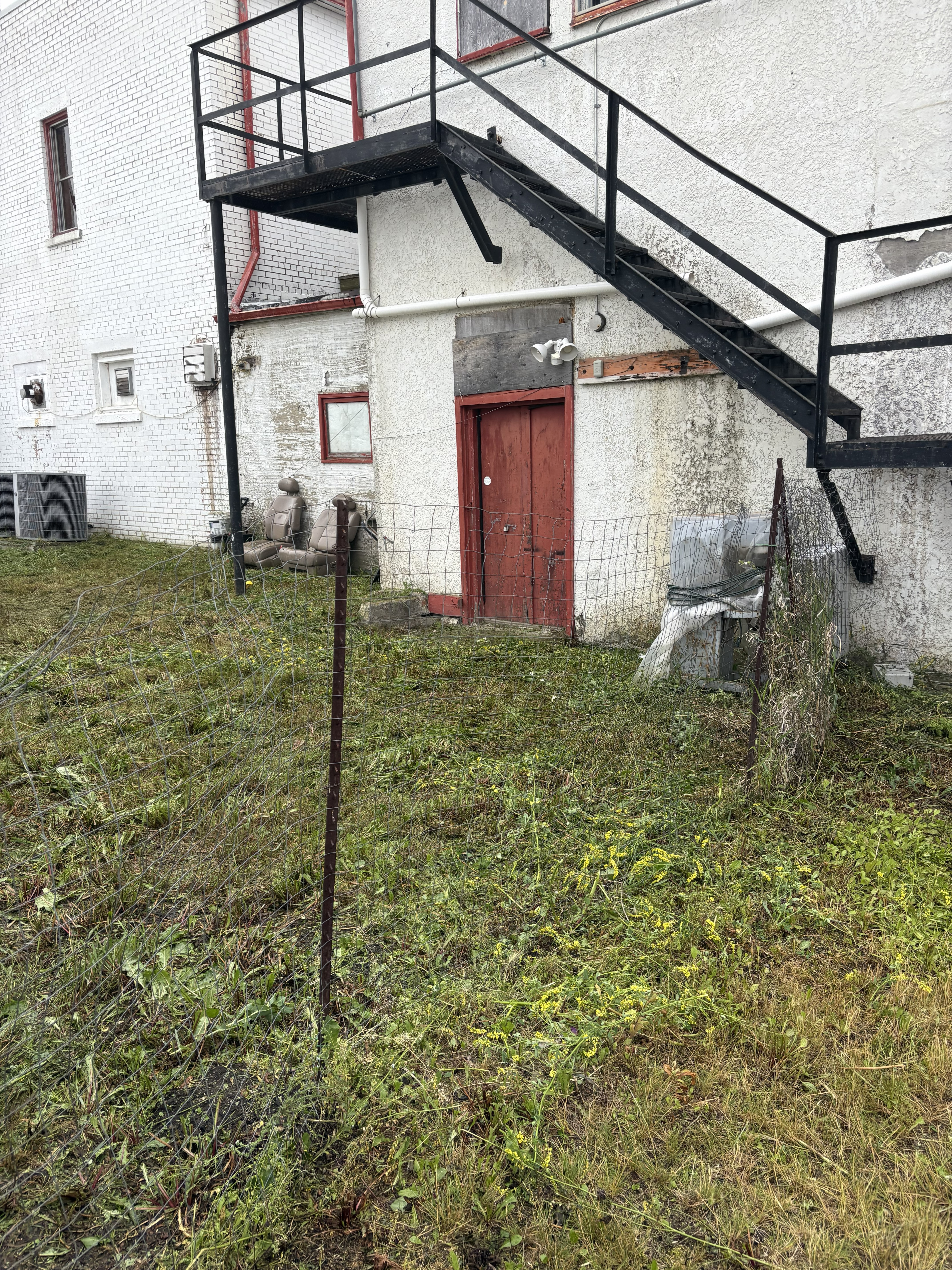 IMG-14